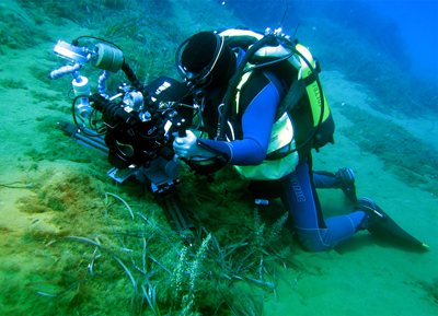 Video-Dokumentation-unter-Wasser-UW-Filmer-Beweissicherung-Videodreharbeiten